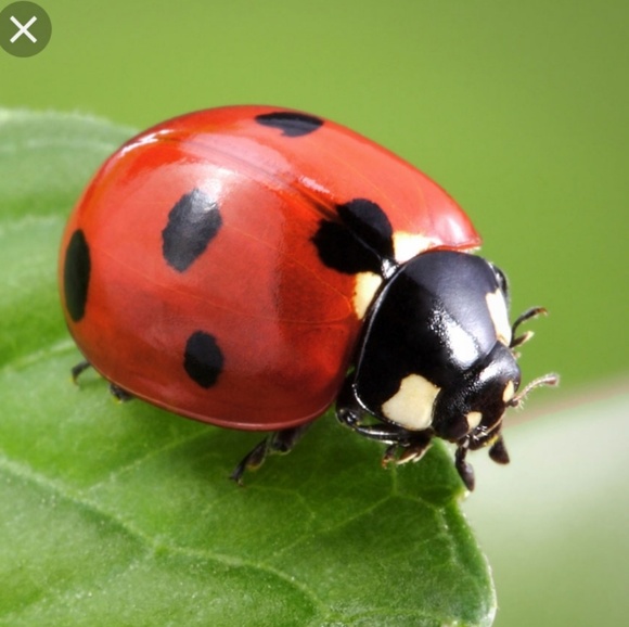 Meet your Posher, Sanja - Picture 1 of 1